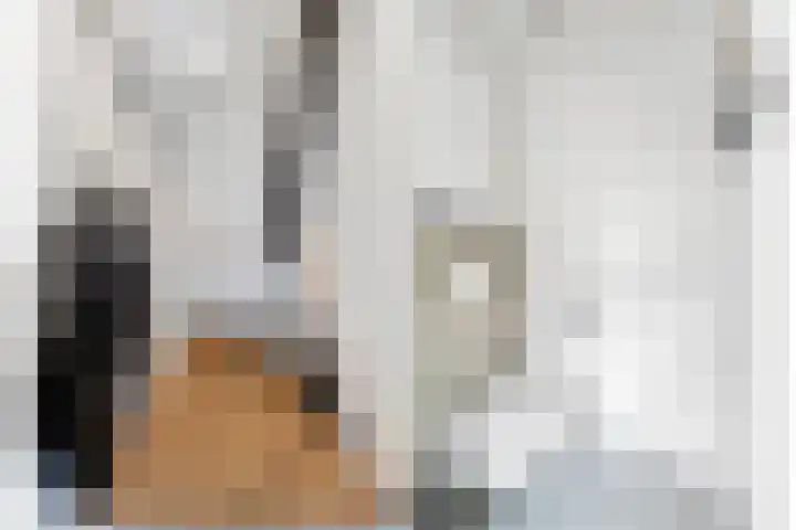 De Eng 12 't Goy thumbnail 32