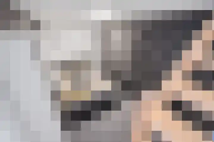 De Eng 12 't Goy thumbnail 33