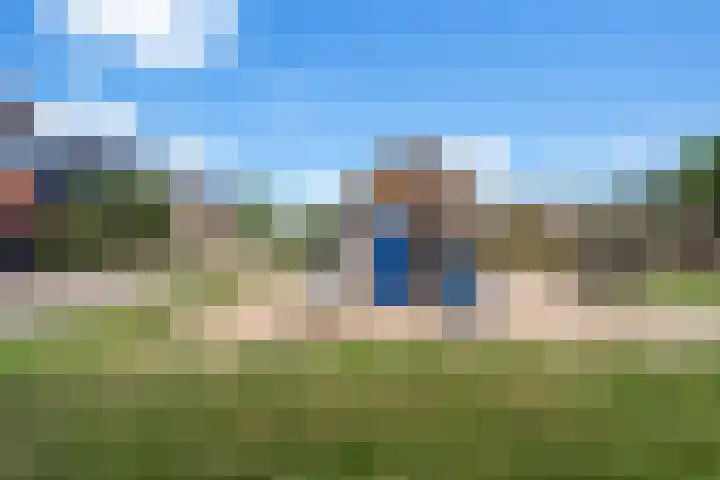De Eng 12 't Goy thumbnail 40