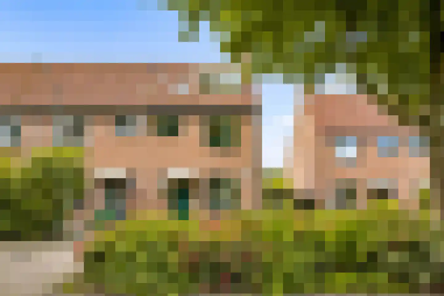 De Eng 41 't Goy foto 2