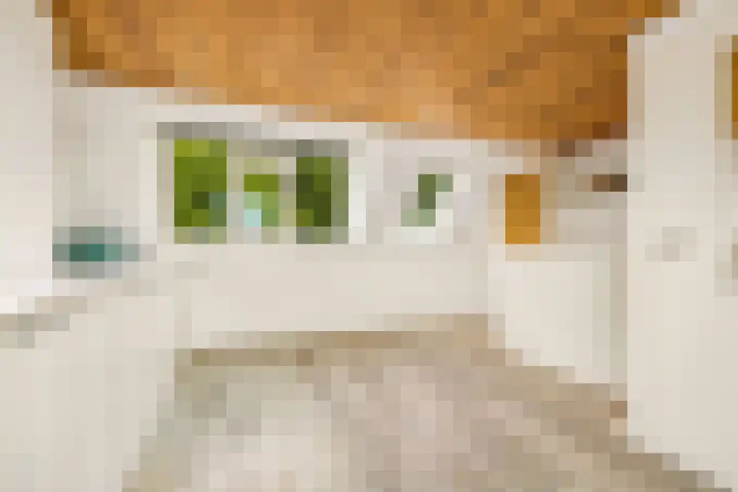 De Eng 41 't Goy thumbnail 32