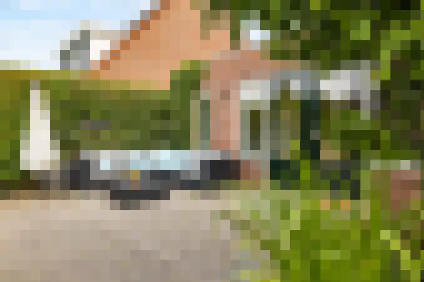 De Eng 41 't Goy thumbnail 35