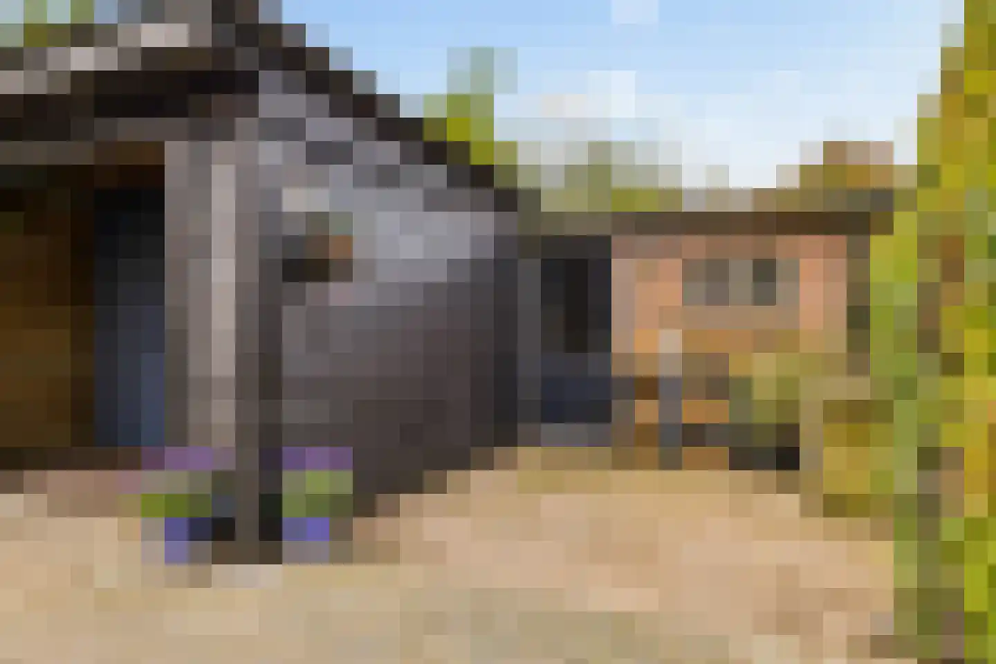 De Eng 41 't Goy thumbnail 36