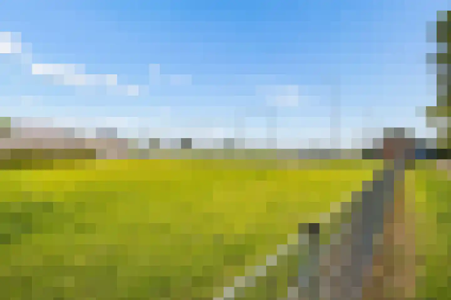 De Eng 41 't Goy thumbnail 48
