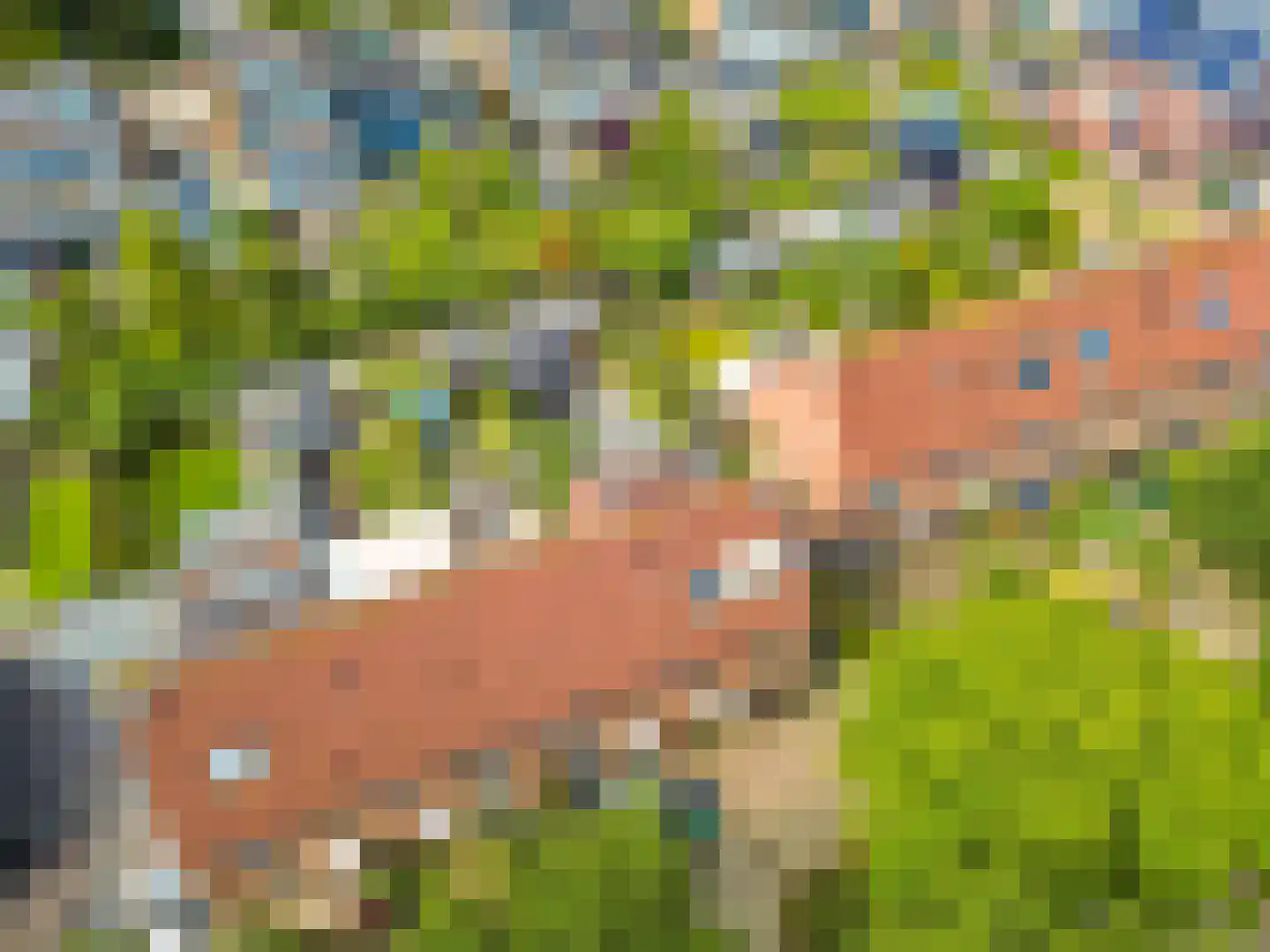 De Eng 41 't Goy thumbnail 50
