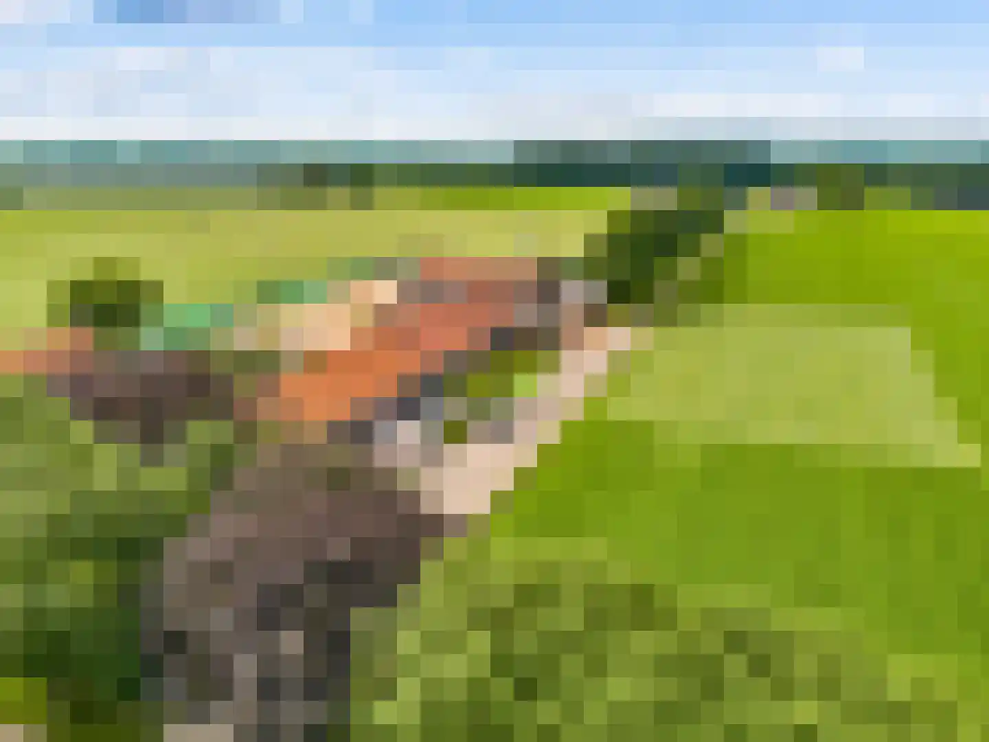 De Eng 41 't Goy thumbnail 52