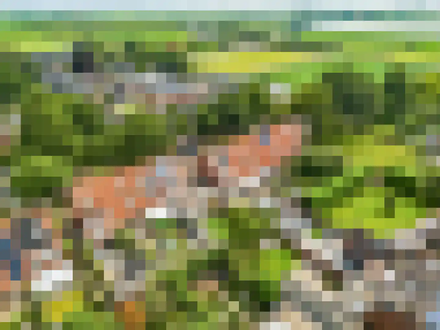 De Eng 41 't Goy thumbnail 53