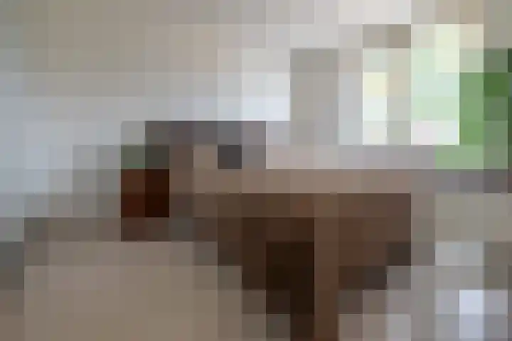 De Eng 46 't Goy thumbnail 14