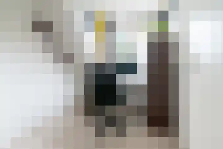 De Eng 46 't Goy thumbnail 16