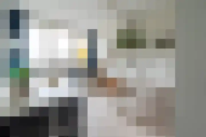 De Eng 46 't Goy thumbnail 18