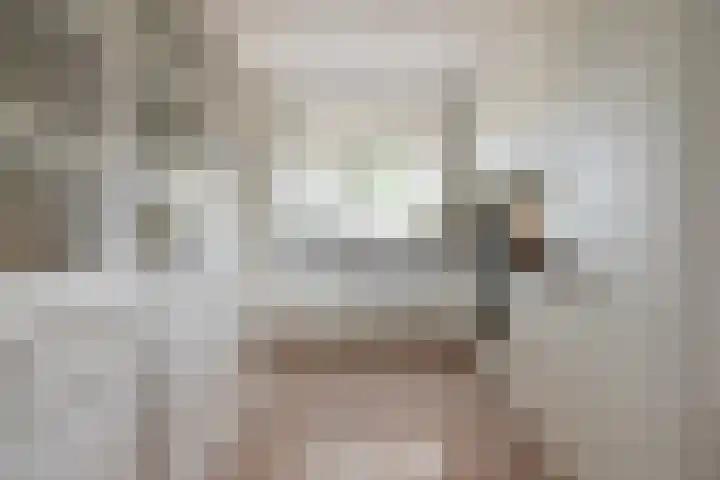 De Eng 46 't Goy foto 2