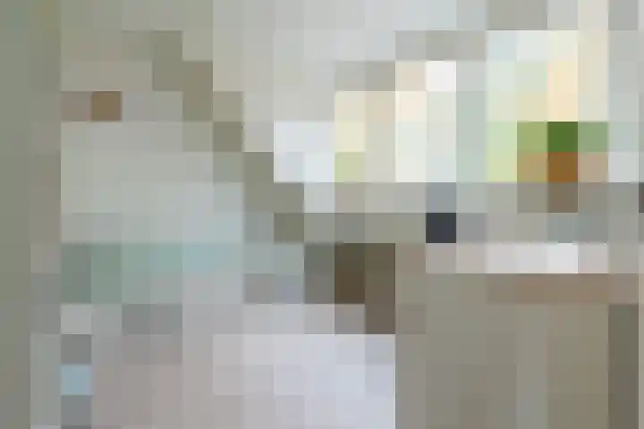 De Eng 46 't Goy thumbnail 20