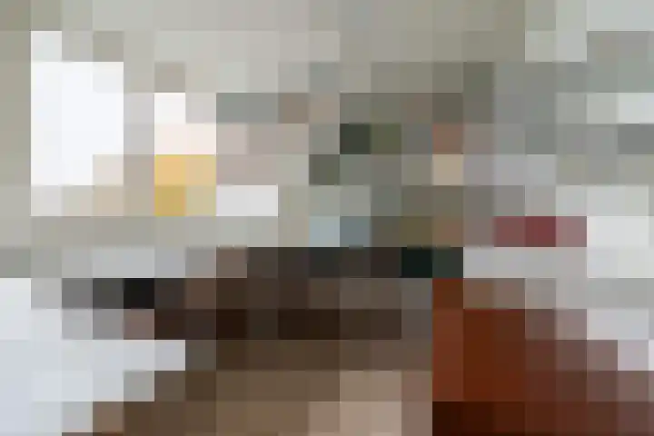 De Eng 46 't Goy thumbnail 21