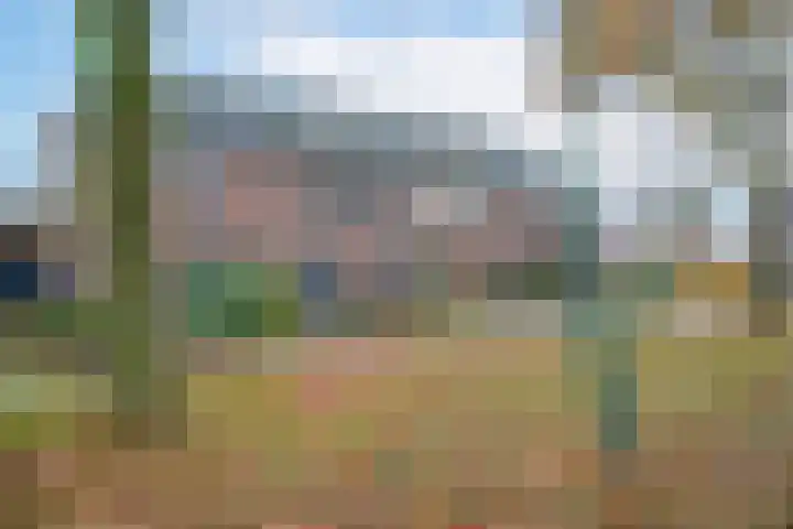 De Eng 46 't Goy thumbnail 22