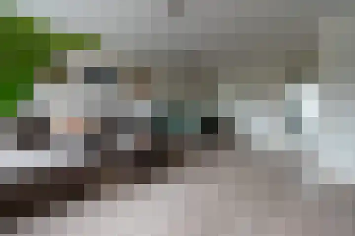De Eng 46 't Goy thumbnail 5