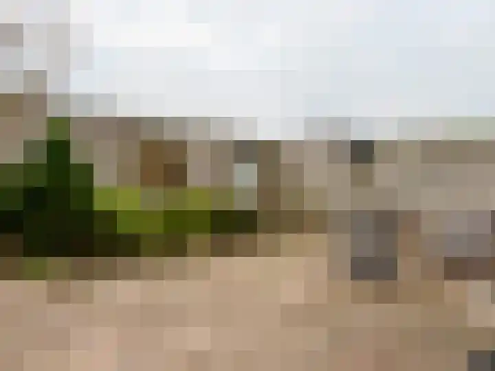 De Eng 8 Scherpenzeel thumbnail 13