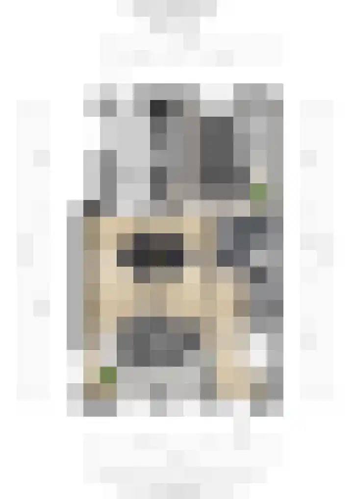 De Eng 8 Scherpenzeel thumbnail 15
