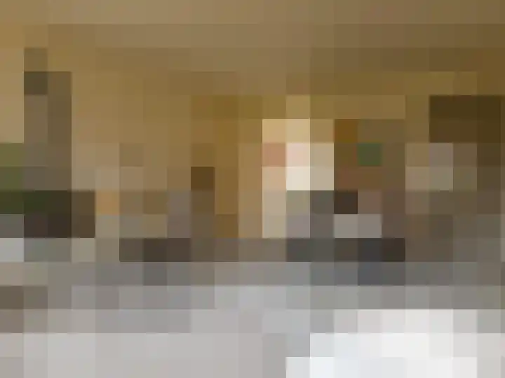 De Eng 8 Scherpenzeel thumbnail 5
