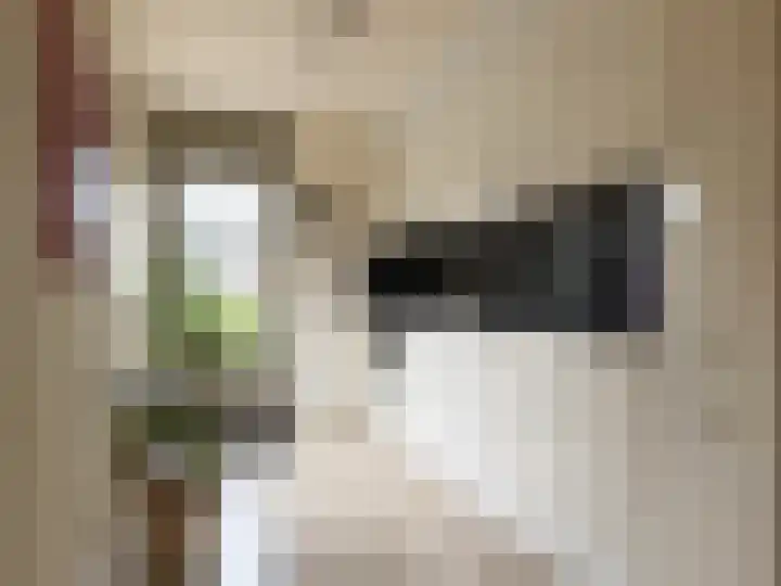 De Eng 8 Scherpenzeel thumbnail 7