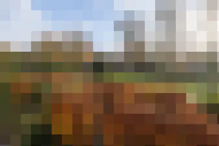 de Engh 11 I Driebergen-Rijsenburg thumbnail 12
