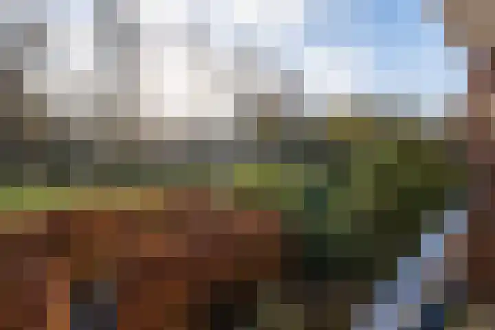de Engh 11 I Driebergen-Rijsenburg thumbnail 13