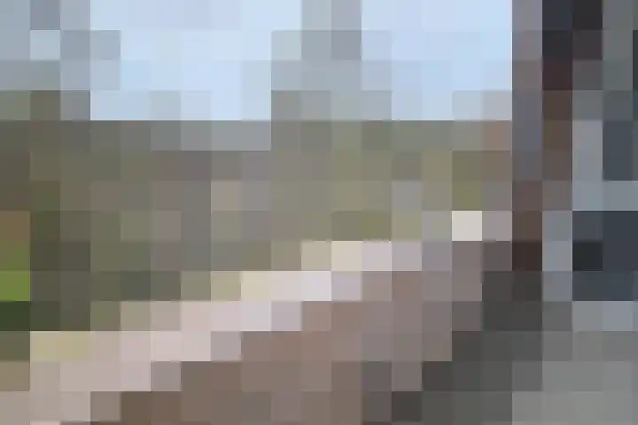 de Engh 11 I Driebergen-Rijsenburg thumbnail 18