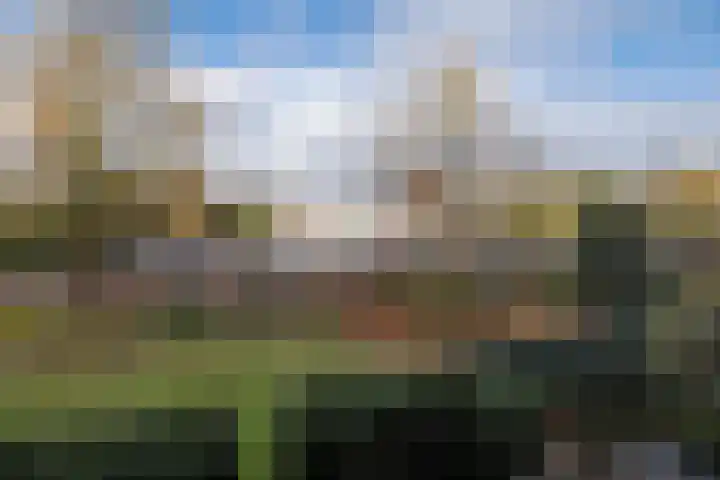 de Engh 11 I Driebergen-Rijsenburg thumbnail 19