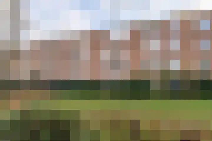 de Engh 11 I Driebergen-Rijsenburg thumbnail 31