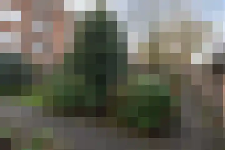 de Engh 11 I Driebergen-Rijsenburg thumbnail 32
