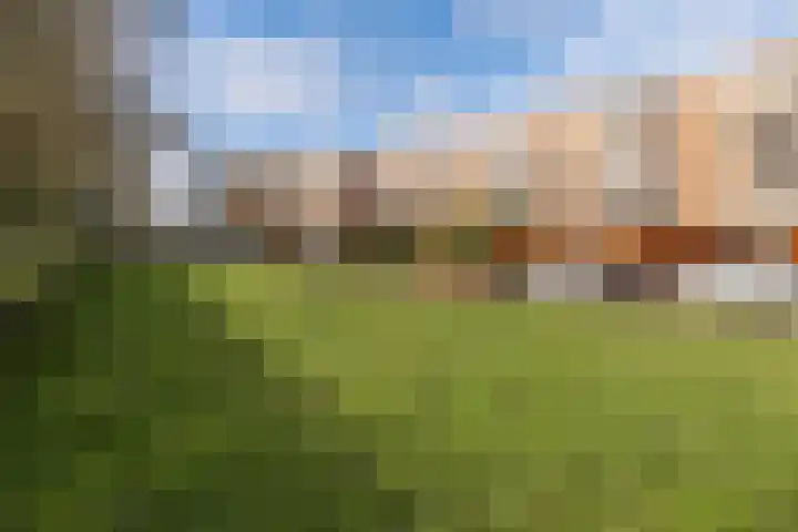 de Engh 11 I Driebergen-Rijsenburg thumbnail 33
