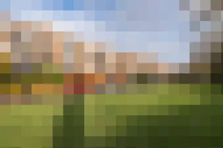 de Engh 11 I Driebergen-Rijsenburg thumbnail 34