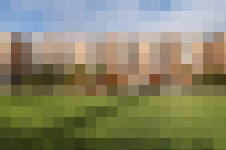 de Engh 11 I Driebergen-Rijsenburg thumbnail 35