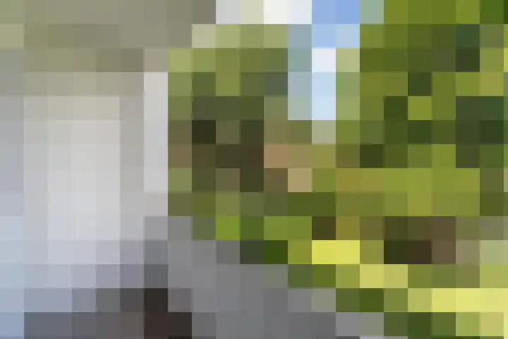 de Engh 13 II Driebergen-Rijsenburg thumbnail 16