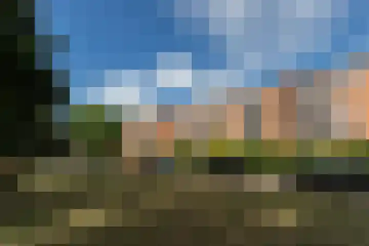 de Engh 13 II Driebergen-Rijsenburg thumbnail 24
