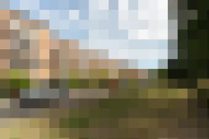 de Engh 13 II Driebergen-Rijsenburg thumbnail 25