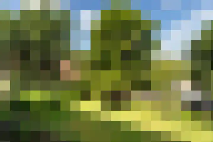 de Engh 13 II Driebergen-Rijsenburg thumbnail 28