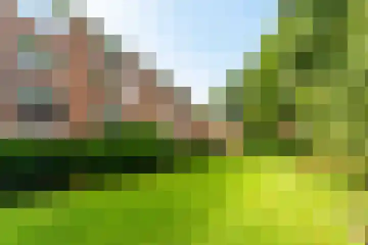 de Engh 13 II Driebergen-Rijsenburg thumbnail 31