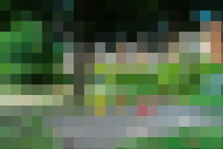 de Engh 13 II Driebergen-Rijsenburg thumbnail 32