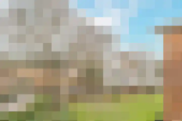 de Engh 15 III Driebergen-Rijsenburg thumbnail 21
