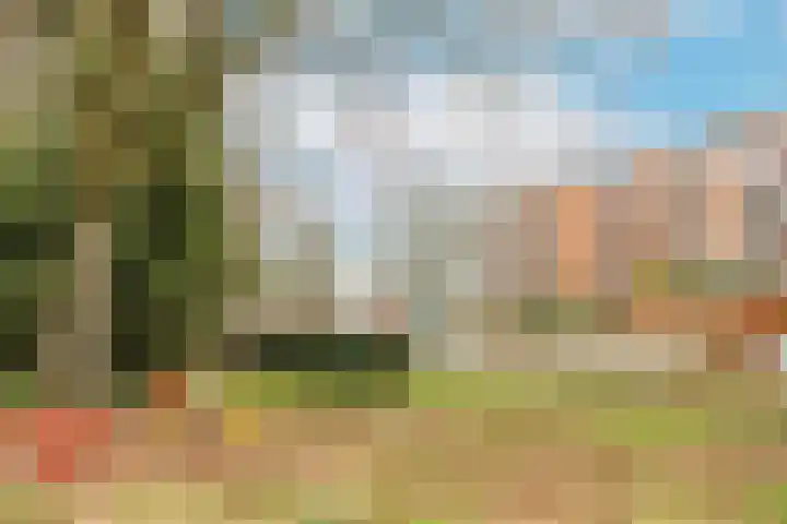 de Engh 15 III Driebergen-Rijsenburg thumbnail 27