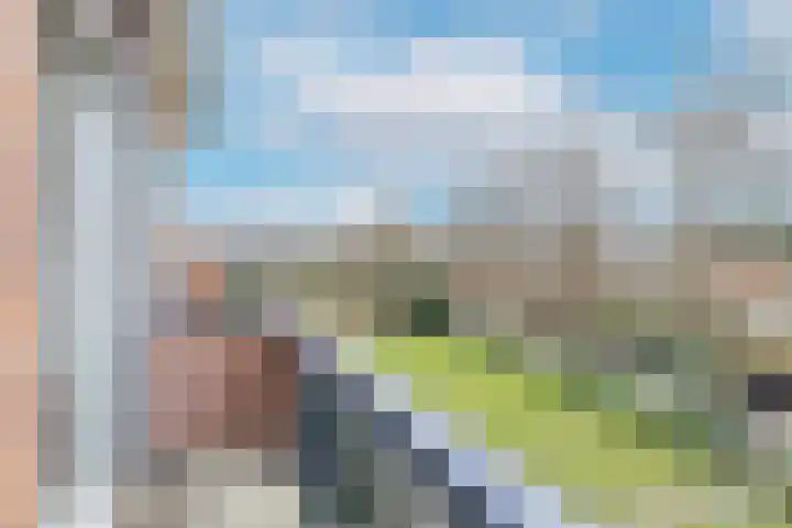 de Engh 15 III Driebergen-Rijsenburg thumbnail 8