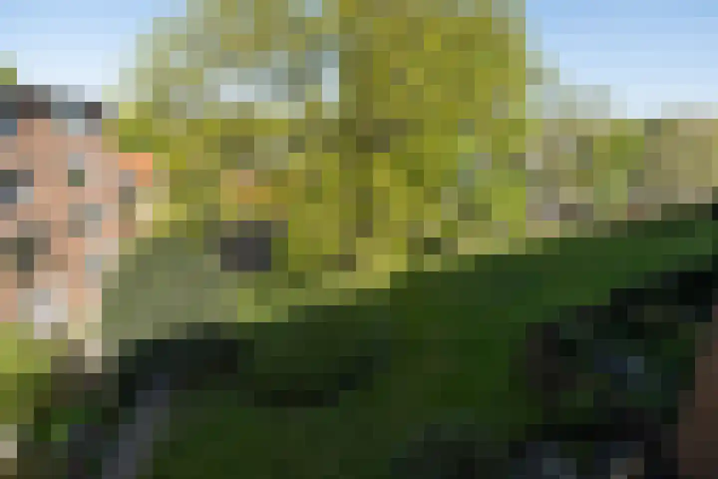 de Engh 16 III Driebergen-Rijsenburg thumbnail 26