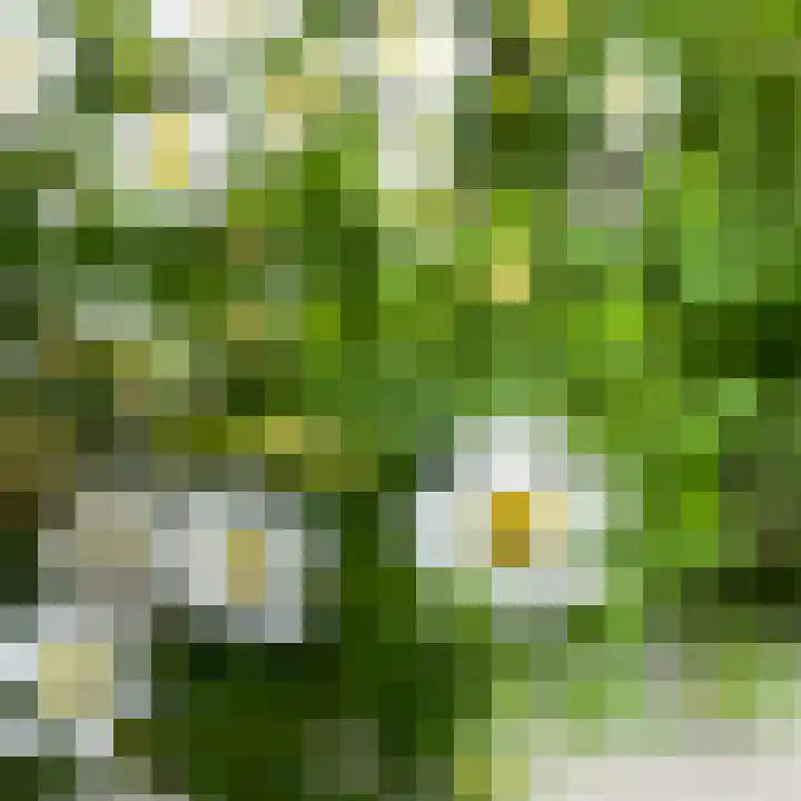 de Engh 4 Driebergen-Rijsenburg thumbnail 33