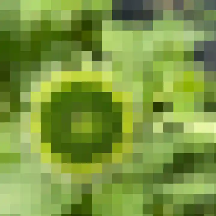 de Engh 4 Driebergen-Rijsenburg thumbnail 34