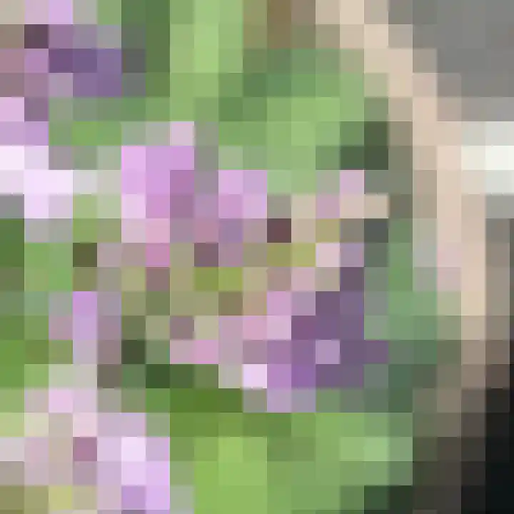 de Engh 4 Driebergen-Rijsenburg thumbnail 36