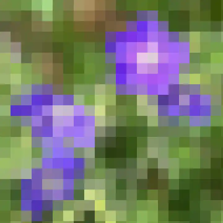 de Engh 4 Driebergen-Rijsenburg thumbnail 37
