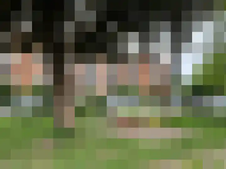 de Engh 4 Driebergen-Rijsenburg thumbnail 42