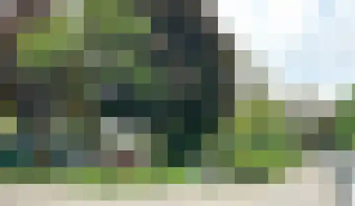 de Engh 4 Driebergen-Rijsenburg thumbnail 43