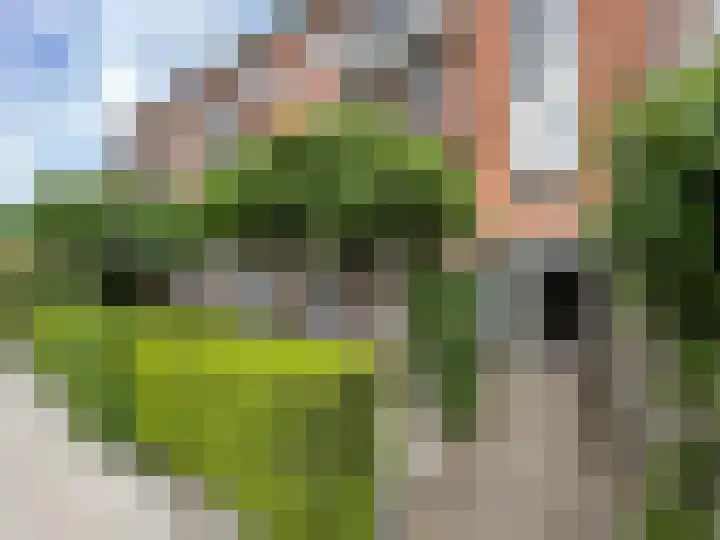 de Engh 4 Driebergen-Rijsenburg thumbnail 44
