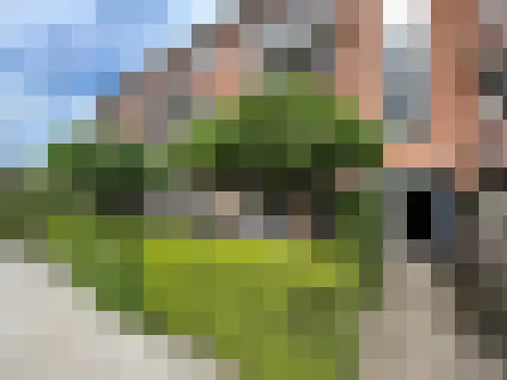 de Engh 4 Driebergen-Rijsenburg thumbnail 48